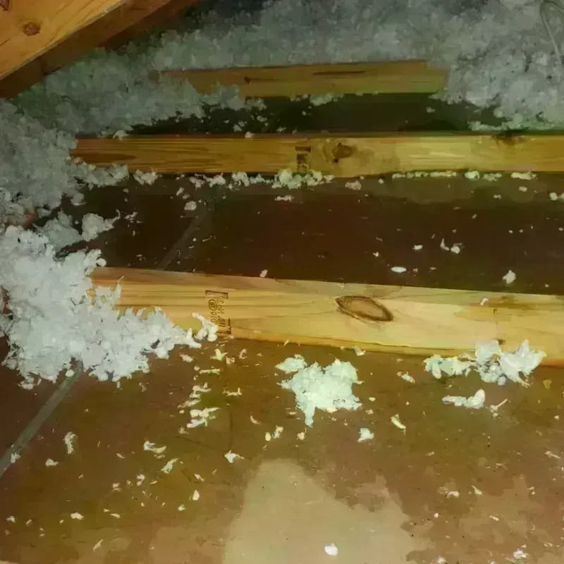 Best Attic Water Damage Service in Concord, NC