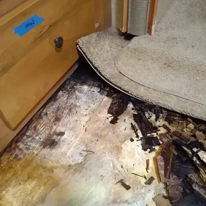 Wood Floor Water Damage in Concord, NC